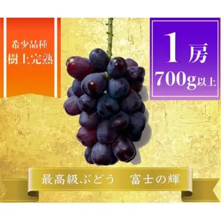 富士の輝 計700g 1房　山梨県産【配送不可地域：離島】【1694813】