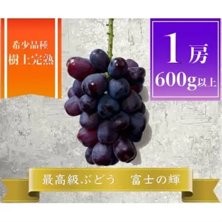 富士の輝 計600g 1房 山梨県産【配送不可地域：離島】【1694814】