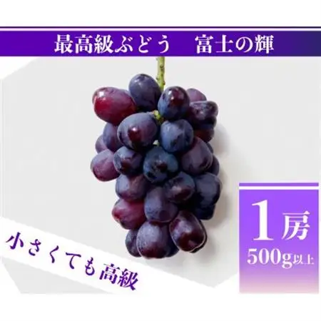 富士の輝 計500g 1房 山梨県産【配送不可地域：離島】【1694815】