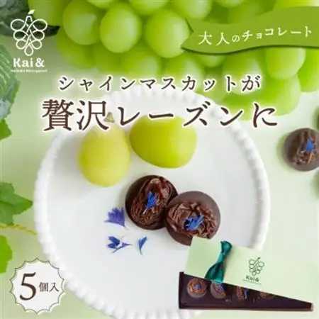 【2026年12月発送開始】山梨産シャインマスカットレーズンのチョコレートマンディアン 5個入【1694883】