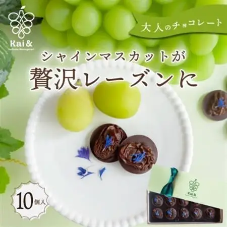 【2026年12月発送開始】シャインマスカットレーズンのチョコレートマンディアン 10個入【1697053】