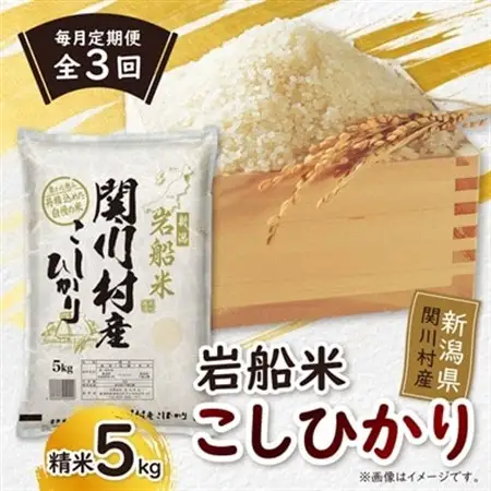 【毎月定期便】炊きたてつやつや 新潟関川村産 岩船米こしひかり精米 5kg [星山米店]全3回【4079623】