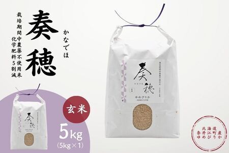 北海道奈井江産ゆめぴりか『奏穂（かなでほ）』　5kg　栽培期間中農薬不使用米（化学肥料5割減）
