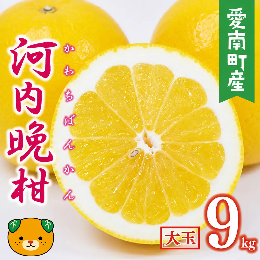 【数量限定】 河内晩柑 大玉 9kg みかんの山祥 河内晩柑