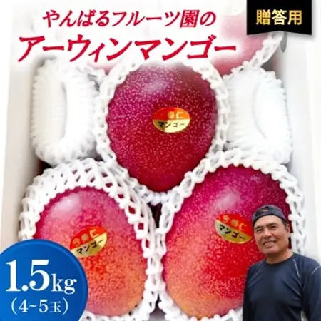 【2026年6月から順次発送・贈答用】やんばるフルーツ園のアーウィンマンゴー1.5kg(4～5玉)【配送不可地域：離島】【1696061】