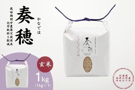 北海道奈井江産ゆめぴりか『奏穂（かなでほ）』　1kg　栽培期間中農薬不使用米（化学肥料5割減）