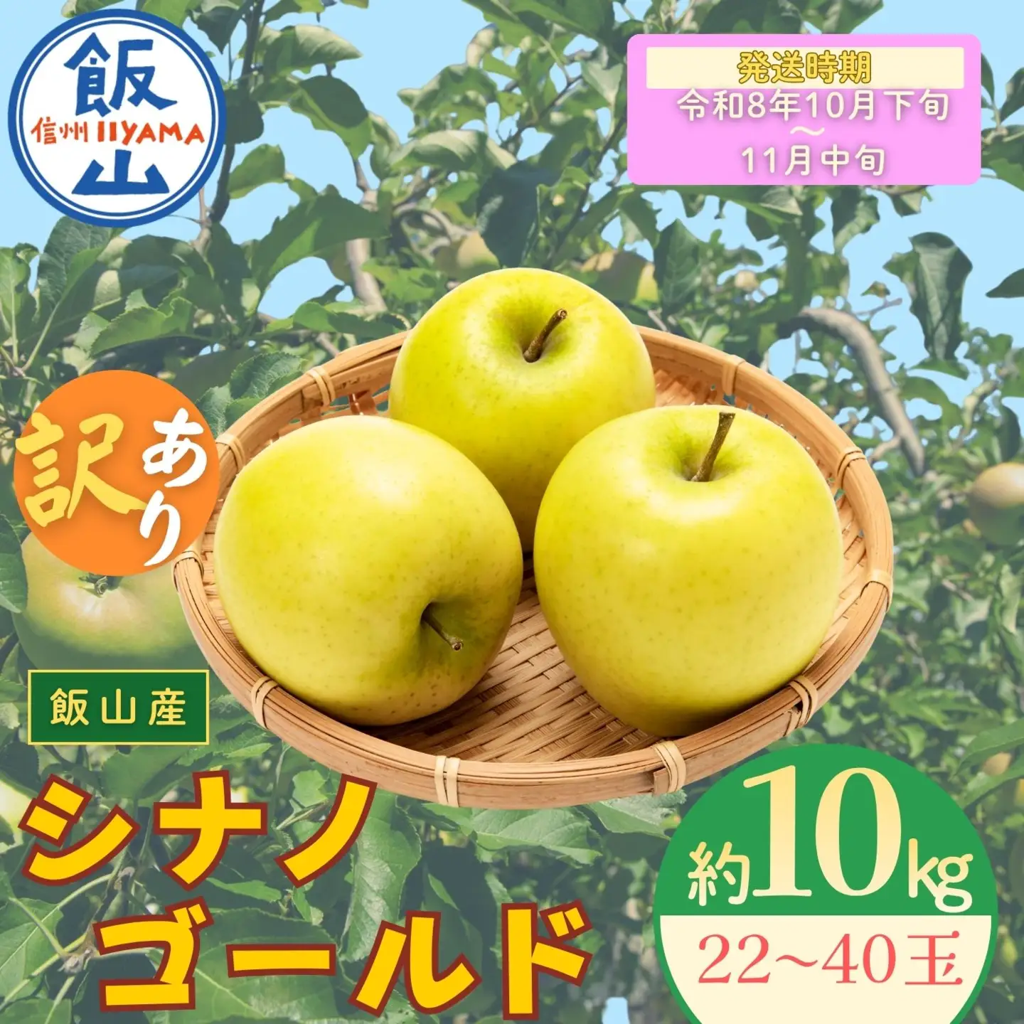 【訳あり】りんご シナノゴールド 約10kg（22～40玉）2026年10月下旬より発送 先行予約 At-025