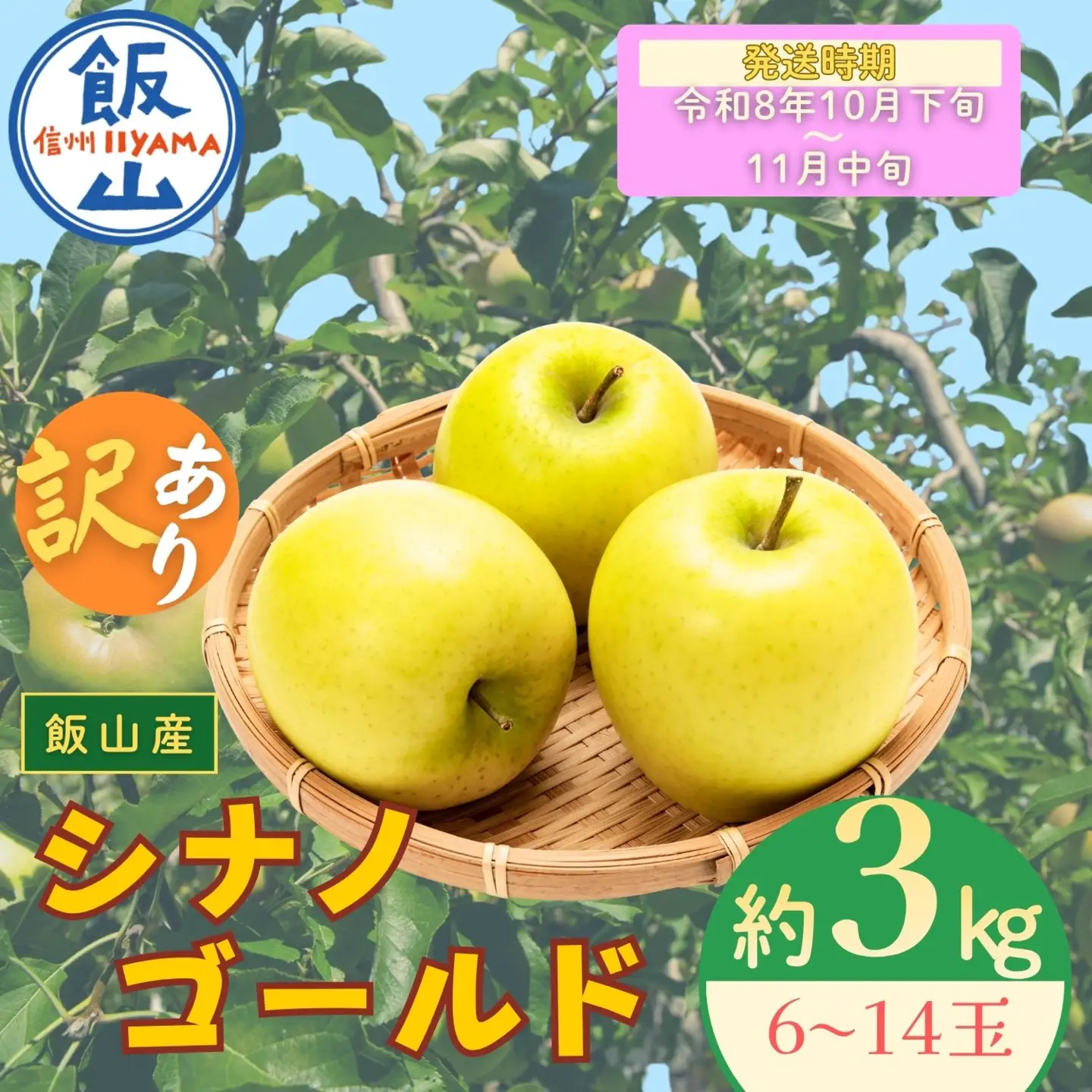 【訳あり】りんご シナノゴールド 約3kg（6～14玉）【2026年10月下旬より発送 先行予約】At-023