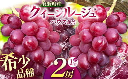 【2026年先行予約】 クイーンルージュ®（ハウス栽培） 2房 約1kg 【7月末～8月中旬にかけて順次発送予定】 