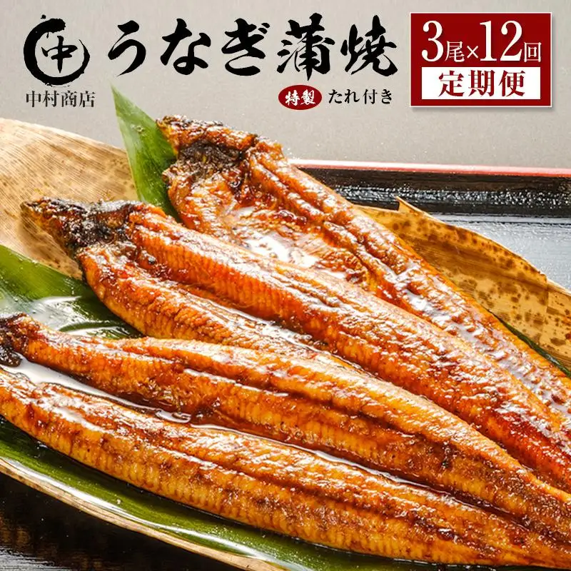＜定期便＞3尾×全12回 国産 うなぎ 蒲焼 有頭 計6.5kg以上（1回あたり 計543g以上） たれ付き 宮崎県産 鰻 中村商店