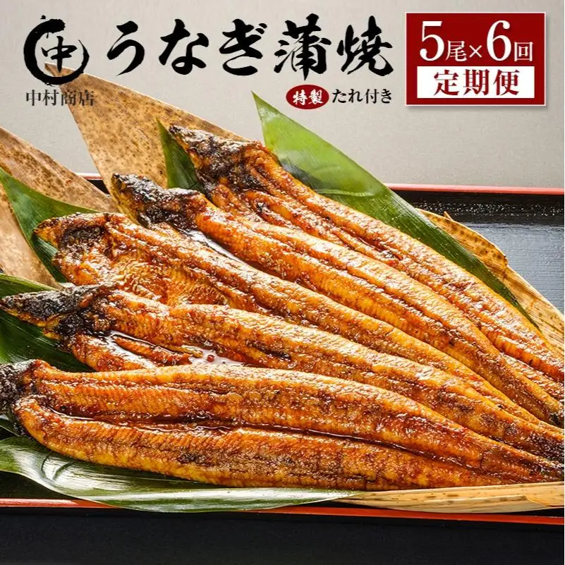 ＜定期便＞5尾×全6回 国産 うなぎ 蒲焼 有頭 計5.4kg以上（1回あたり 計905g以上） たれ付き 宮崎県産 鰻 中村商店