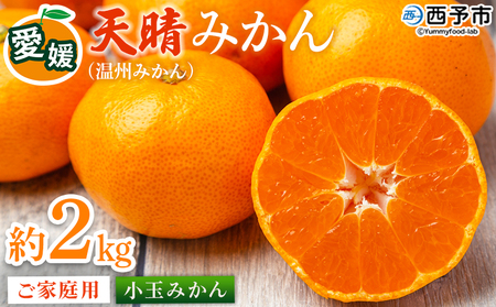 ＜愛媛県明浜産 天晴みかん（温州みかん）約2kg 小玉サイズ＞ 家庭用 訳あり ワケアリ 果物 くだもの フルーツ ミカン 柑橘 特産品 笑丸 愛媛県 西予市【常温】『2026年11月中旬～2027年1月上旬迄に順次出荷予定』AAN0062