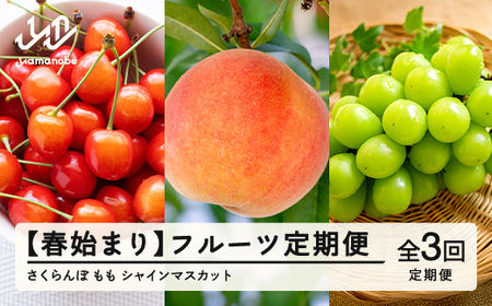 【先行予約】【春始まり】フルーツ定期便 全3回 2026年産 令和8年産 さくらんぼ 佐藤錦 白桃 ぶどう シャインマスカット 果物 送料無料 ns-ft3xx-sp ※沖縄及び離島への配送不可