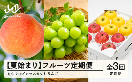 【先行予約】【夏始まり】フルーツ定期便 全3回 2026年産 令和8年産 白桃 ぶどう シャインマスカット りんご サンふじ シナノゴールド  果物 送料無料 ns-ft3xx-sm ※沖縄及び離島への配送不可