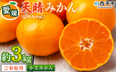 ＜愛媛県明浜産 天晴みかん（温州みかん）約3kg 小玉サイズ＞ 家庭用 訳あり ワケアリ 果物 くだもの フルーツ ミカン 柑橘 特産品 笑丸 愛媛県 西予市【常温】『2026年11月中旬～2027年1月上旬迄に順次出荷予定』AAN0063