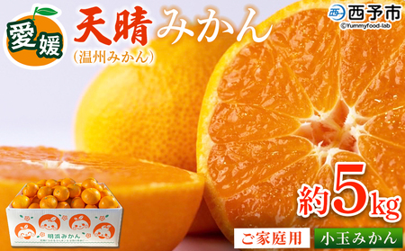 ＜愛媛県明浜産 天晴みかん（温州みかん）約5kg 小玉サイズ＞ 家庭用 訳あり ワケアリ 果物 くだもの フルーツ ミカン 柑橘 特産品 笑丸 愛媛県 西予市【常温】『2026年11月中旬～2027年1月上旬迄に順次出荷予定』AAN0064