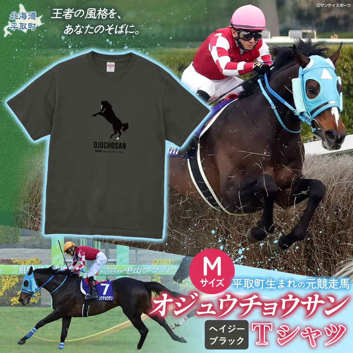 【オジュウチョウサン】Ｔシャツ _Mサイズ（ヘイジーブラック） BRTV004-2