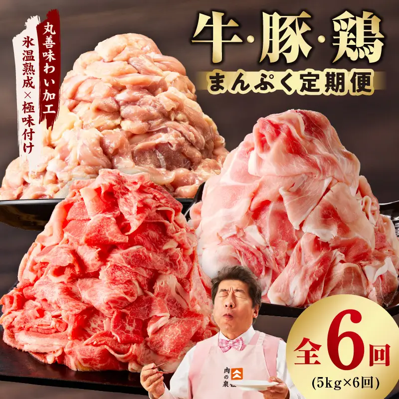 国産 牛肉＆豚肉＆鶏肉 まんぷく 定期便 5kg×6回