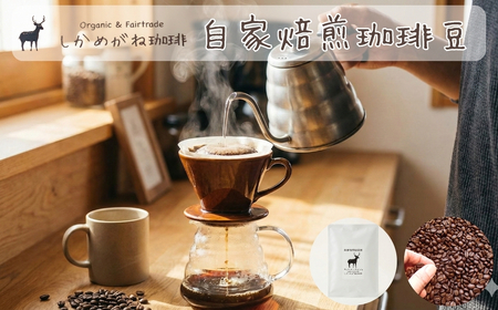 しかめがね 自家焙煎珈琲豆 100g×定期便12回 | コーヒー 豆 焙煎 ドリップ 豆 有機JAS認証 無農薬有機栽培 酸味 苦味 すっきり バランス