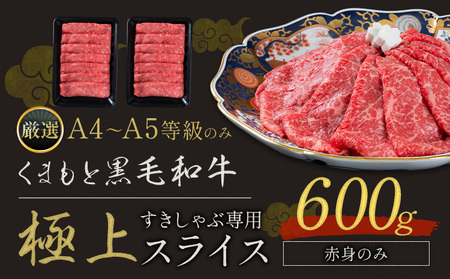 牛肉 黒毛和牛 霜降り 赤身 600g 牛肉