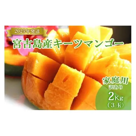 【先行受付】＜2026年発送＞いらぶ島マンゴー園　宮古島産希少“キーツマンゴー”《家庭用》2kg(3玉)（HR09）