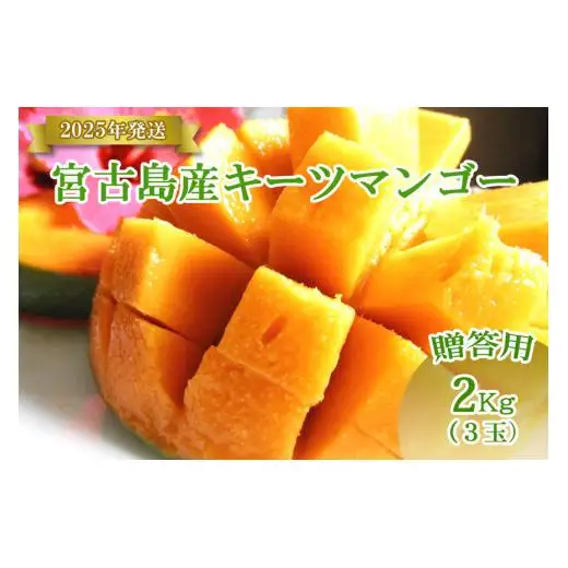 【先行受付】＜2026年発送＞いらぶ島マンゴー園　宮古島産“キーツマンゴー”《贈答用》2kg（HR07）