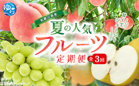 フルーツ定期便 全3回 和歌山の夏の人気フルーツ/ 桃・梨・シャインマスカット【tkb429】
