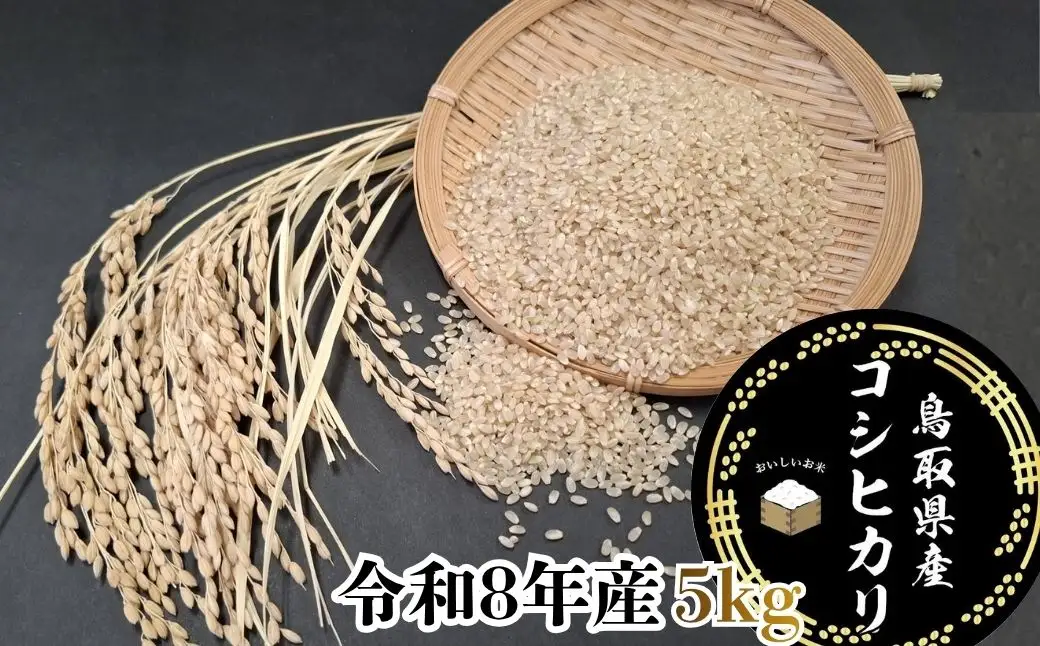 Y1071 鳥取県産「コシヒカリ」玄米5kg（令和8年産）