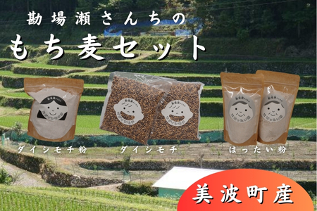 徳島県美波町産もち麦セット（もち麦500g×2袋・もち麦粉500g・はったい粉200g×2袋）