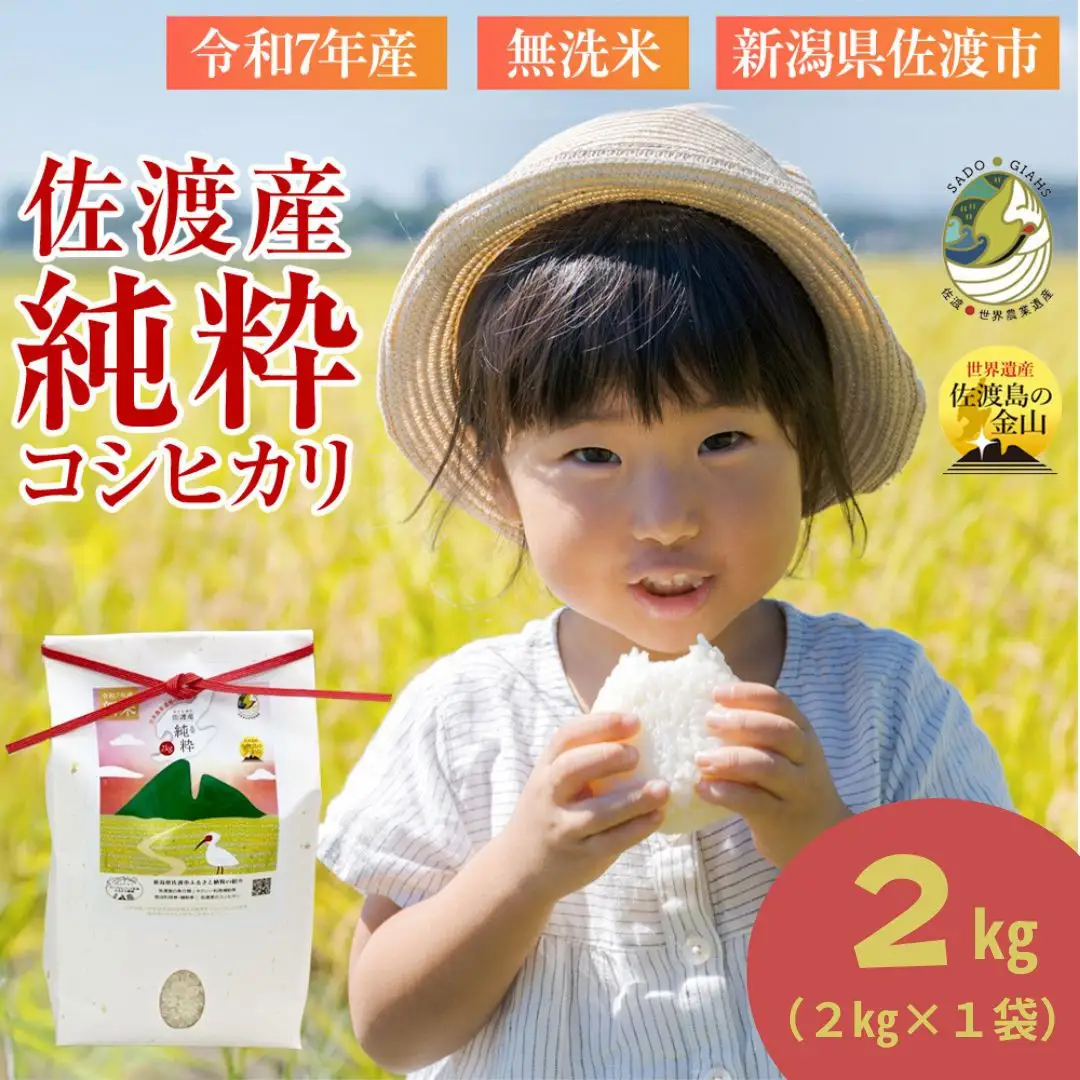 【新潟県佐渡】純粋コシヒカリ＜数量限定＞ 令和７年産 精米【無洗米】2kg 送料無料