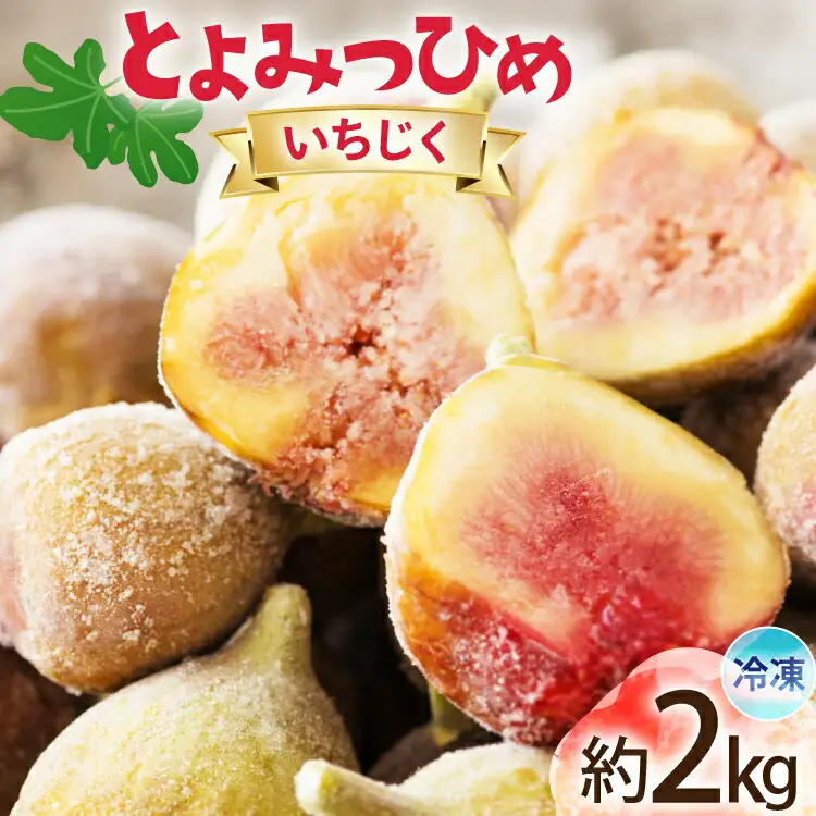 いちじく 冷凍 とよみつひめ 約1kg 2袋 計約2kg [地域商社ふるさぽ 福岡県 宇美町 um40bfw220007] 