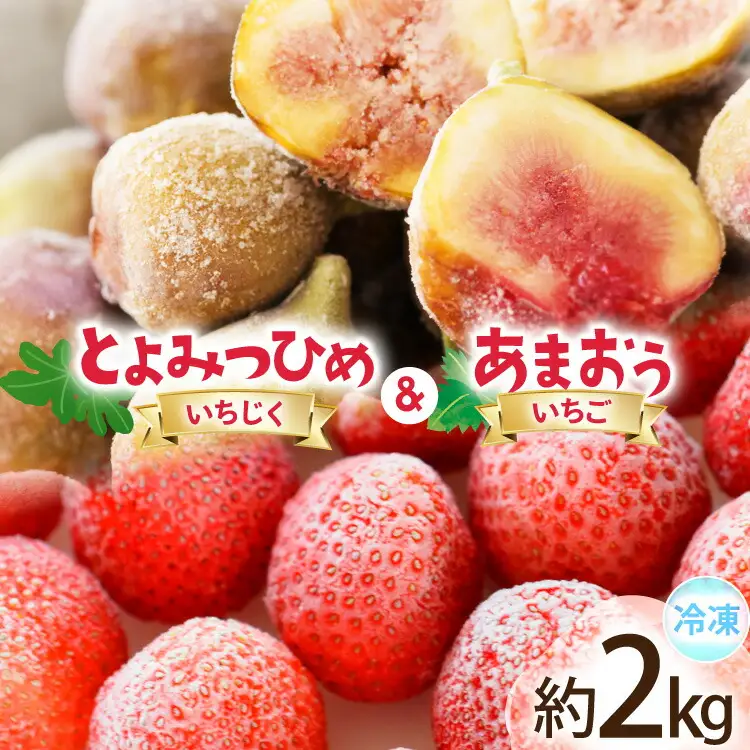 フルーツ 冷凍 あまおう ＆ 冷凍 よみつひめ セット 計約2kg [地域商社ふるさぽ 福岡県 宇美町 um40bfw220006] 