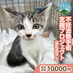 人と猫が互いに幸せになれるまちを目指して『不妊去勢手術支援プロジェクト』（返礼品はありません） N0159-9999992