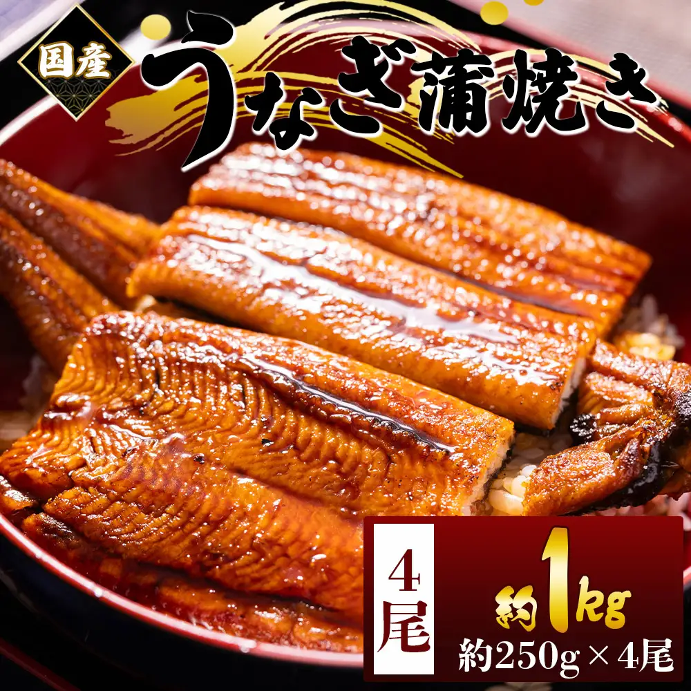 国産蒲焼きうなぎ ２５０ｇ ４尾 計１kｇ 蒲焼き fb-0169