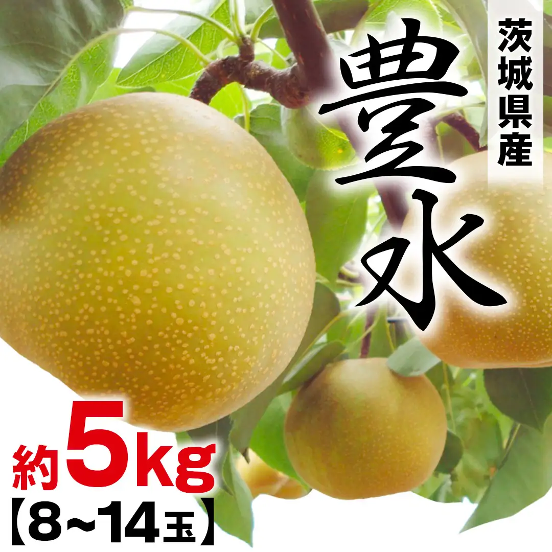 豊水 約 5kg （8～14玉） 2026年産 先行予約 梨 果物 フルーツ なし ナシ 豊水梨 くだもの デザート 茨城 [BQ020sa]