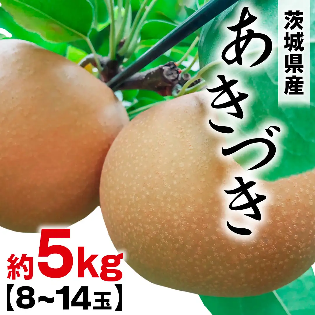 あきづき 約 5kg （8～14玉） 2026年産 先行予約 梨 果物 フルーツ なし ナシ あきずき あきづき梨 くだもの デザート 茨城 [BQ022sa]