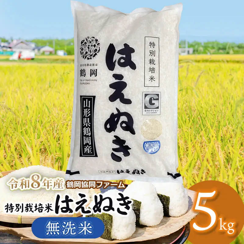 【令和8年産先行予約】 特別栽培米はえぬき　無洗米 5kg　(5kg×1袋)　山形県鶴岡産　鶴岡協同ファーム