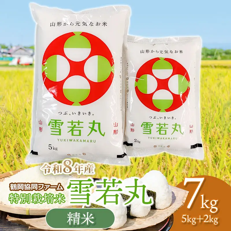 【令和8年産先行予約】 特別栽培米雪若丸 7kg (5kg+2kg) 山形県鶴岡産　鶴岡協同ファーム