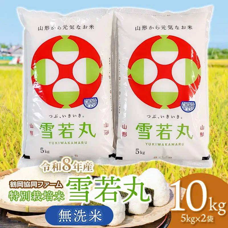 【令和8年産先行予約】 特別栽培米雪若丸 無洗米 10kg (5kg×2袋) 山形県鶴岡産　鶴岡協同ファーム