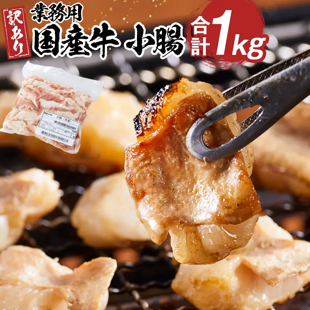 《業務用・訳アリ》国産牛　小腸　1kg | 小腸