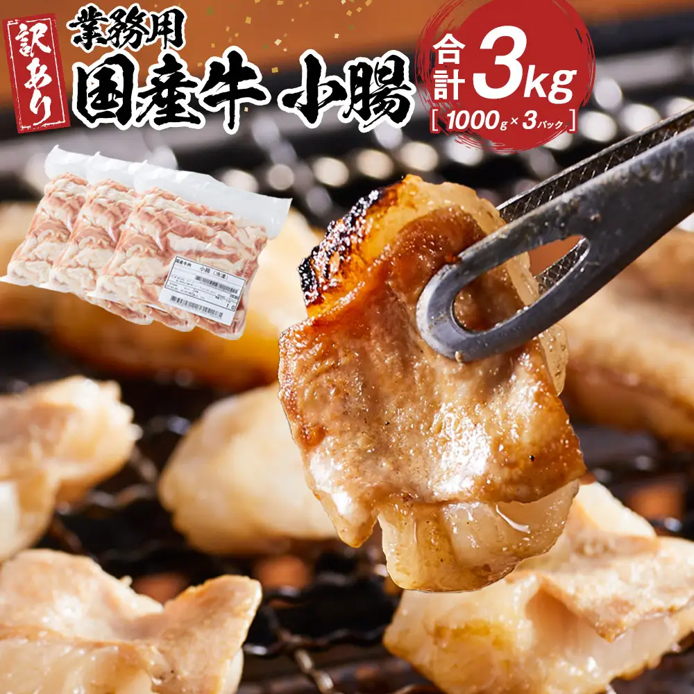 《業務用・訳アリ》国産牛　小腸　3kg