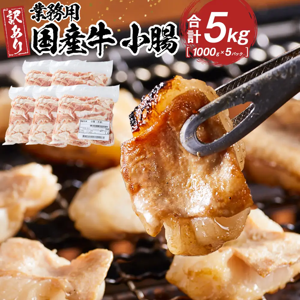 《業務用・訳アリ》国産牛　小腸　5kg
