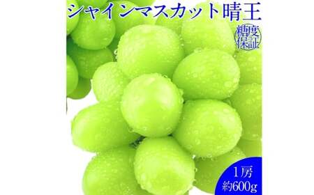 シャインマスカット 晴王 1房 約600g 種無し  皮ごと食べる  フレッシュ  旬の美味しさ【2026年9月上旬-10月下旬 発送予定】【岡山県産 種無し 皮ごと食べる みずみずしい 甘い フレッシュ 9月～10月発送 晴れの国 おかやま ぶどう 葡萄 マスカット 果物大国 彩美菜果 岡山県 倉敷市 おすすめ 人気】