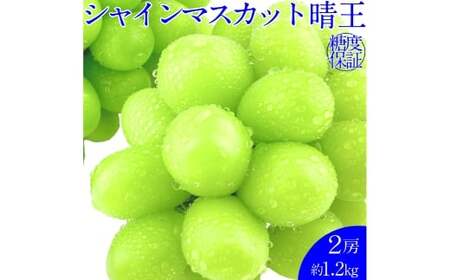 シャインマスカット 晴王 2房 約1.2kg 種無し  皮ごと食べる  フレッシュ  旬の美味しさ【2026年9月上旬-10月下旬 発送予定】【岡山県産 種無し 皮ごと食べる みずみずしい 甘い フレッシュ 9月～10月発送 晴れの国 おかやま ぶどう 葡萄 マスカット 果物大国 彩美菜果  岡山県 倉敷市 おすすめ 人気】