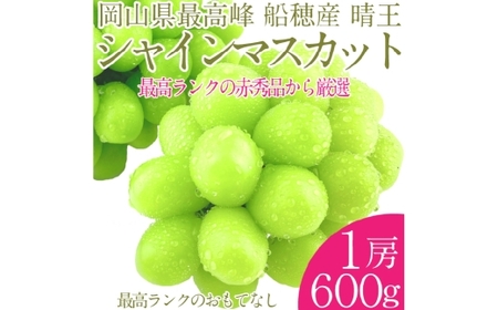  プレミアム シャインマスカット 晴王 1房 約600g【2026年9月上旬-10月下旬 発送予定】 【シャインマスカット マスカット ぶどう 葡萄 岡山県産   種無し 皮ごと食べる みずみずしい 9月～10月お届け フレッシュ 晴れの国おかやま 果物大国 贈答品 彩美菜果 岡山県 倉敷市】