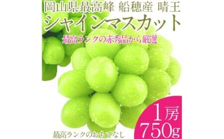  プレミアム シャインマスカット 晴王 1房 約750g 種無し  皮ごと食べる  フレッシュ  旬の美味しさ 【2026年9月上旬-10月下旬 発送予定】【シャインマスカット マスカット ぶどう 葡萄 岡山県産   種無し 皮ごと食べる みずみずしい 9月～10月お届け フレッシュ 晴れの国おかやま 果物大国 贈答品 彩美菜果 岡山県 倉敷市】