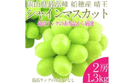  プレミアム シャインマスカット 晴王 2房 約1.3kg 種無し  皮ごと食べる  フレッシュ  旬の美味しさ【2026年9月上旬-10月下旬 発送予定】【シャインマスカット マスカット ぶどう 葡萄 岡山県産   種無し 皮ごと食べる みずみずしい 9月～10月お届け フレッシュ 晴れの国おかやま 果物大国 贈答品 彩美菜果 岡山県 倉敷市】
