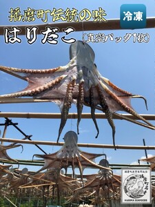 播磨町産 はりだこ(ほしだこ)１匹 播磨町産 活け〆はりだこ 1匹 セット タコ 海鮮 魚介類 瀬戸内 兵庫県 播磨町