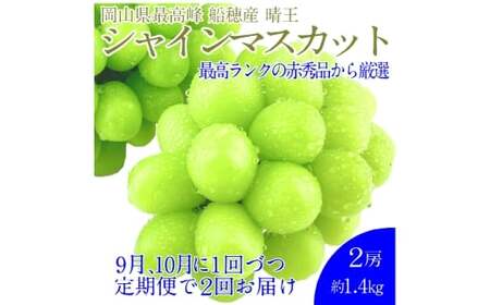  【2回定期便】プレミアム シャインマスカット 晴王 2房約1.4kg 2回 定期便 9月・10月に1回ずつお届け 種無し  皮ごと食べる  フレッシュ  旬の美味しさ【2026年9月上旬発送開始】【シャインマスカット マスカット ぶどう 葡萄 岡山県産   種無し 皮ごと食べる みずみずしい 9月～10月お届け フレッシュ 晴れの国おかやま 果物大国 贈答品 彩美菜果 岡山県 倉敷市】
