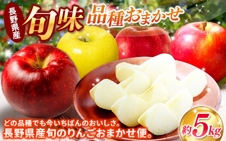 【先行予約】信州産りんご【品種おまかせ】約5kg (14～20玉)【秋映・シナノスイート・シナノゴールド・名月・サンふじ】《2026年10月上旬頃から発送》